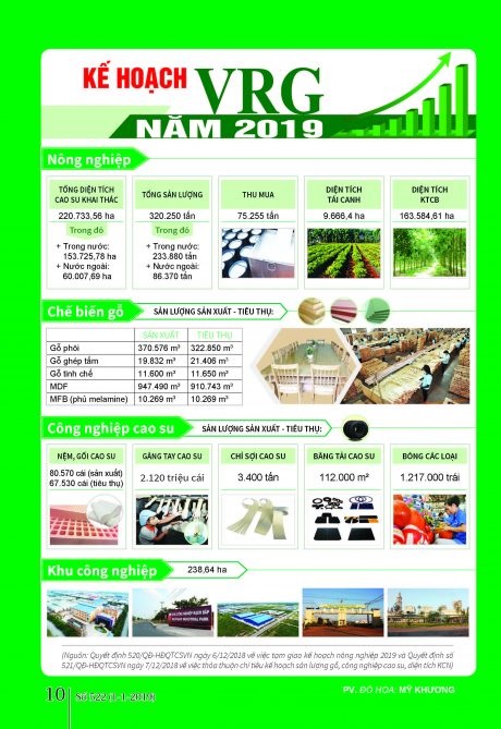 Kế hoạch VRG năm 2019